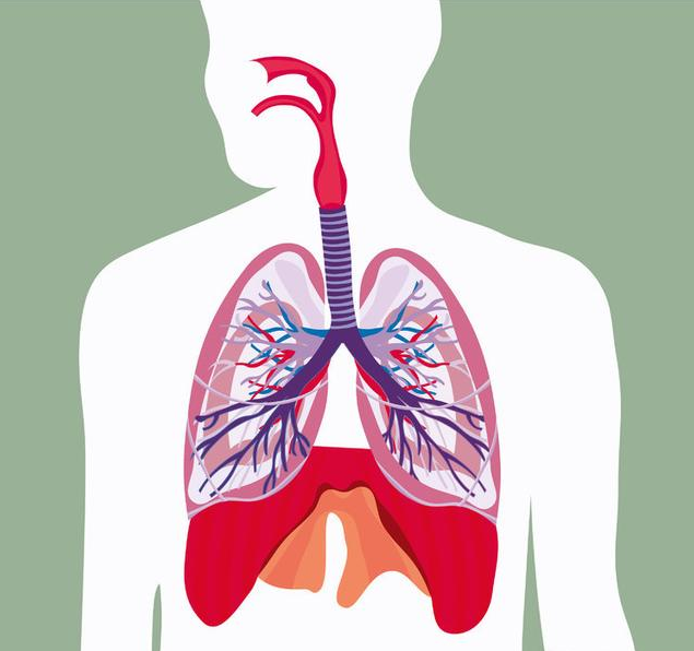 能练好肺功能的2个小动作